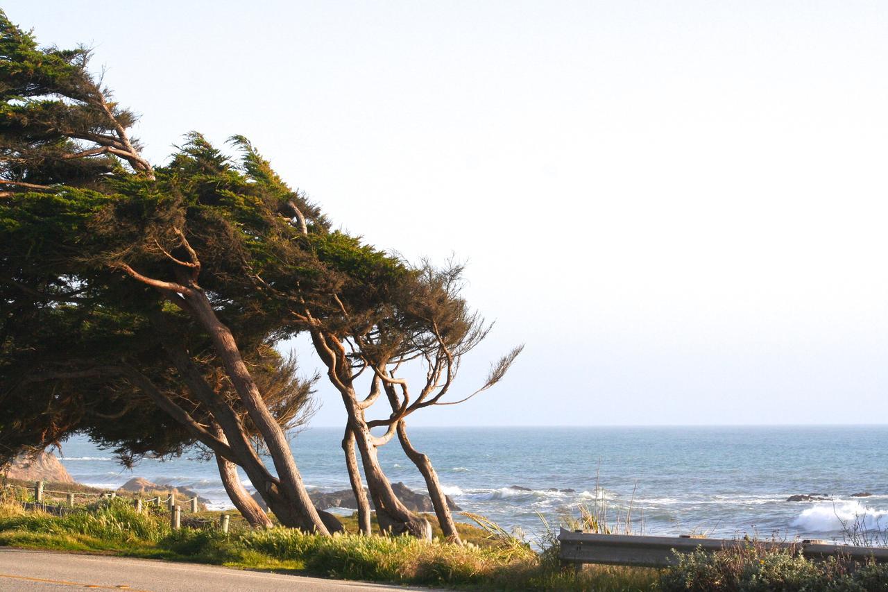 Captain'S Cove Inn Cambria Kültér fotó